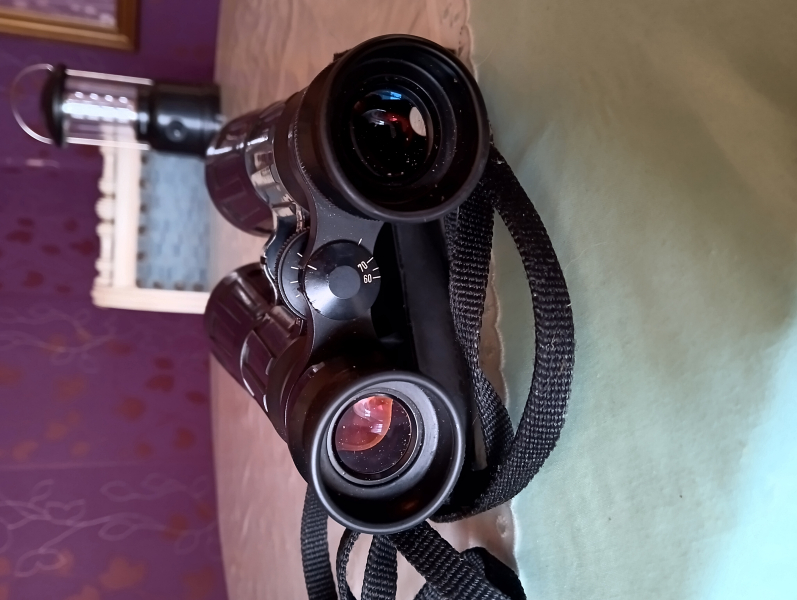 Fernglas ZEISS. DIALYT 8X56 – Bild 2