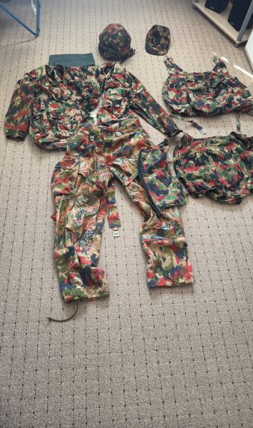 Schweizer Uniform Leibertarn Alpentarn – stampa 1