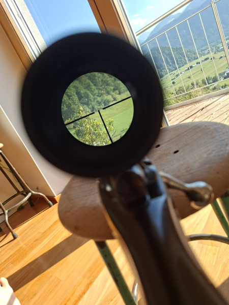 BSA Rep. .308Win mit Optik – imagem 2