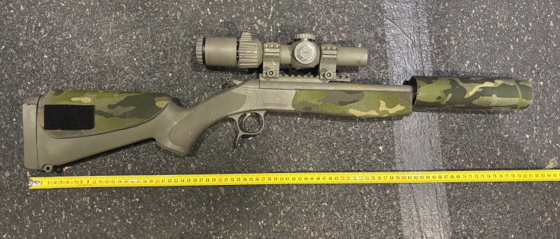 Bergara BA13 .300 Blackout custom mit Schalldämpfer Hausken und Vector Optics Tauron – Bild 1