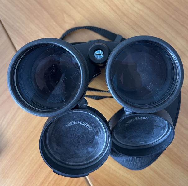 Fernglas Leica Geovid R 8x56 mit Entfernungsmesser aus 09/2023 – Bild 4