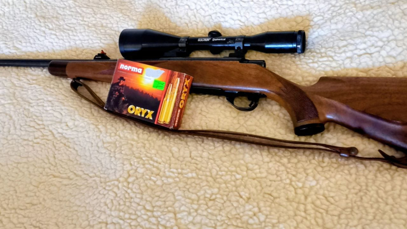 RWS Modell 89 , .300 Winchester Magnum – Bild 3