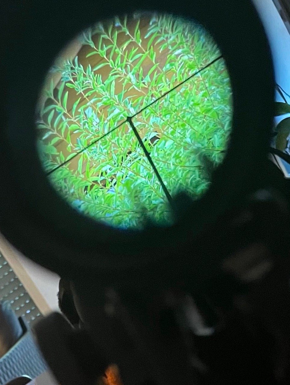 Lee Enfield No.4 Mk2 – Replika Scope No.32 Mk1, Ordonnanz-ZF – Bild 3