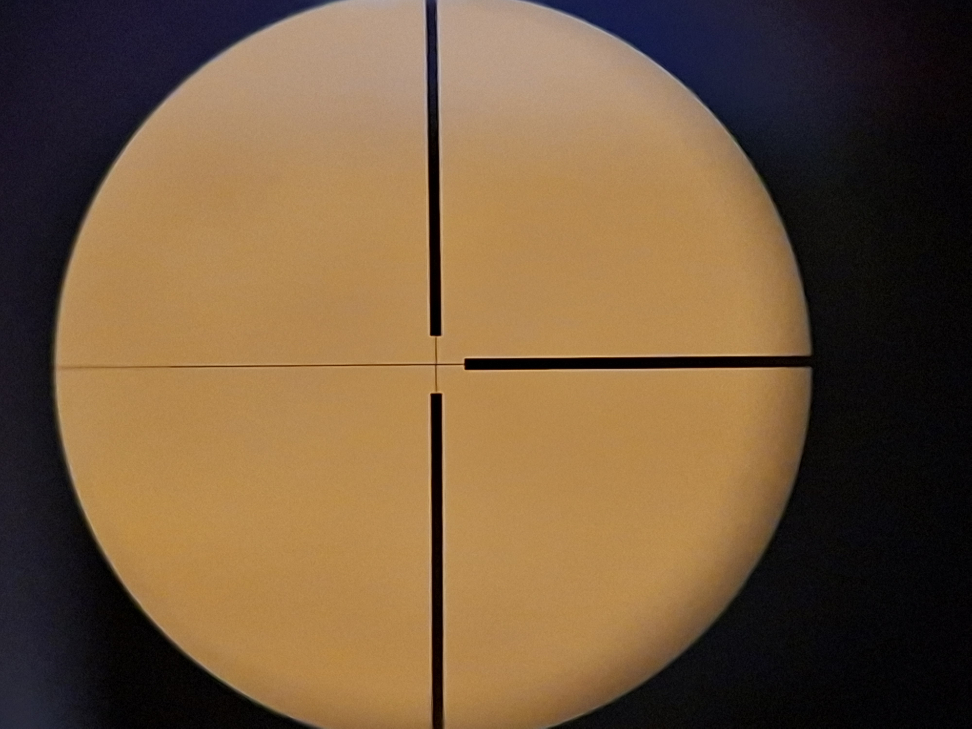 ZEISS DIAVARI Z 3-12X56 MC – Bild 5