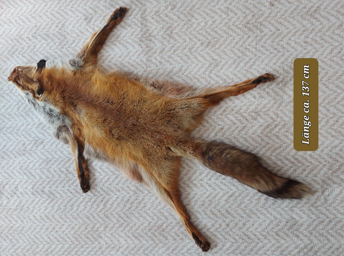Fuchsfell – Bild 1