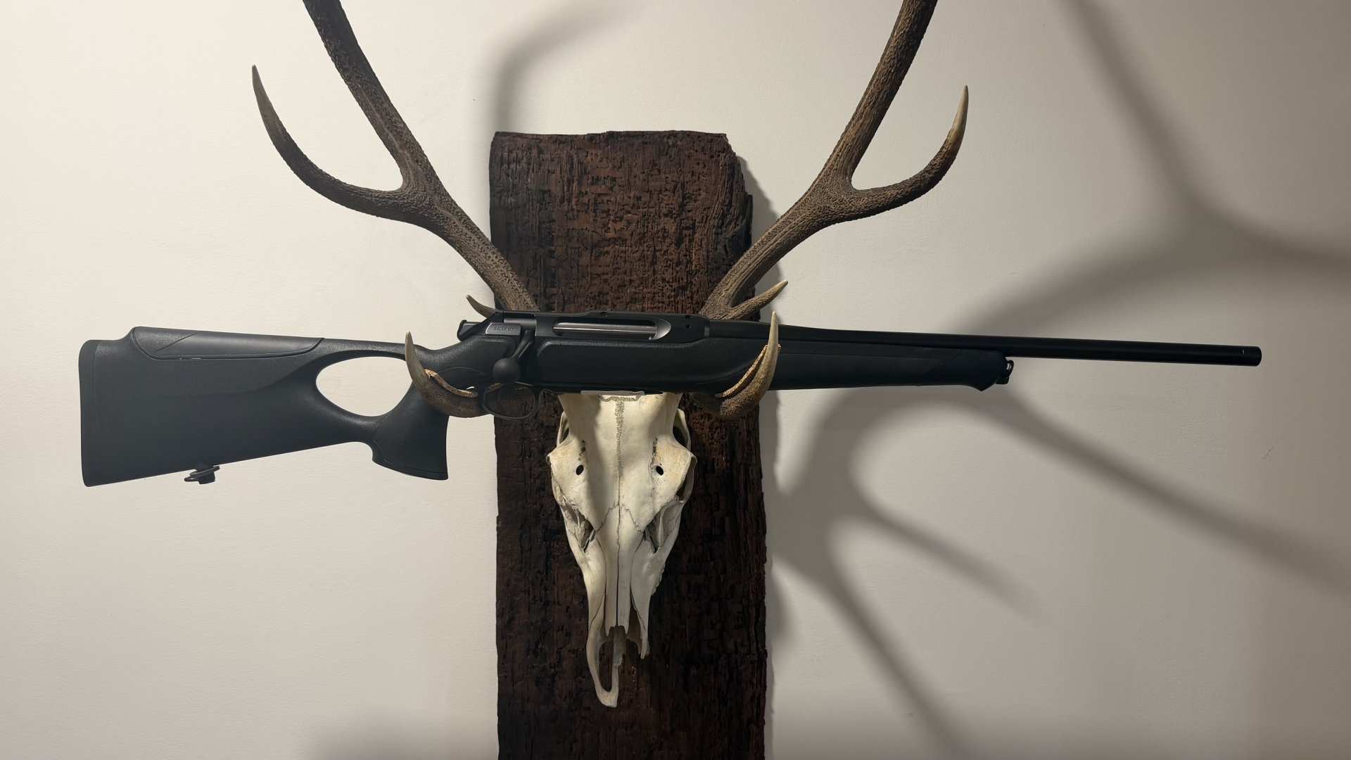 Sauer 505 SyncroXT Outback .308/.30-06/usw. Neu u. sofort lieferbar v. Willenbach Gmbh – Bild 1
