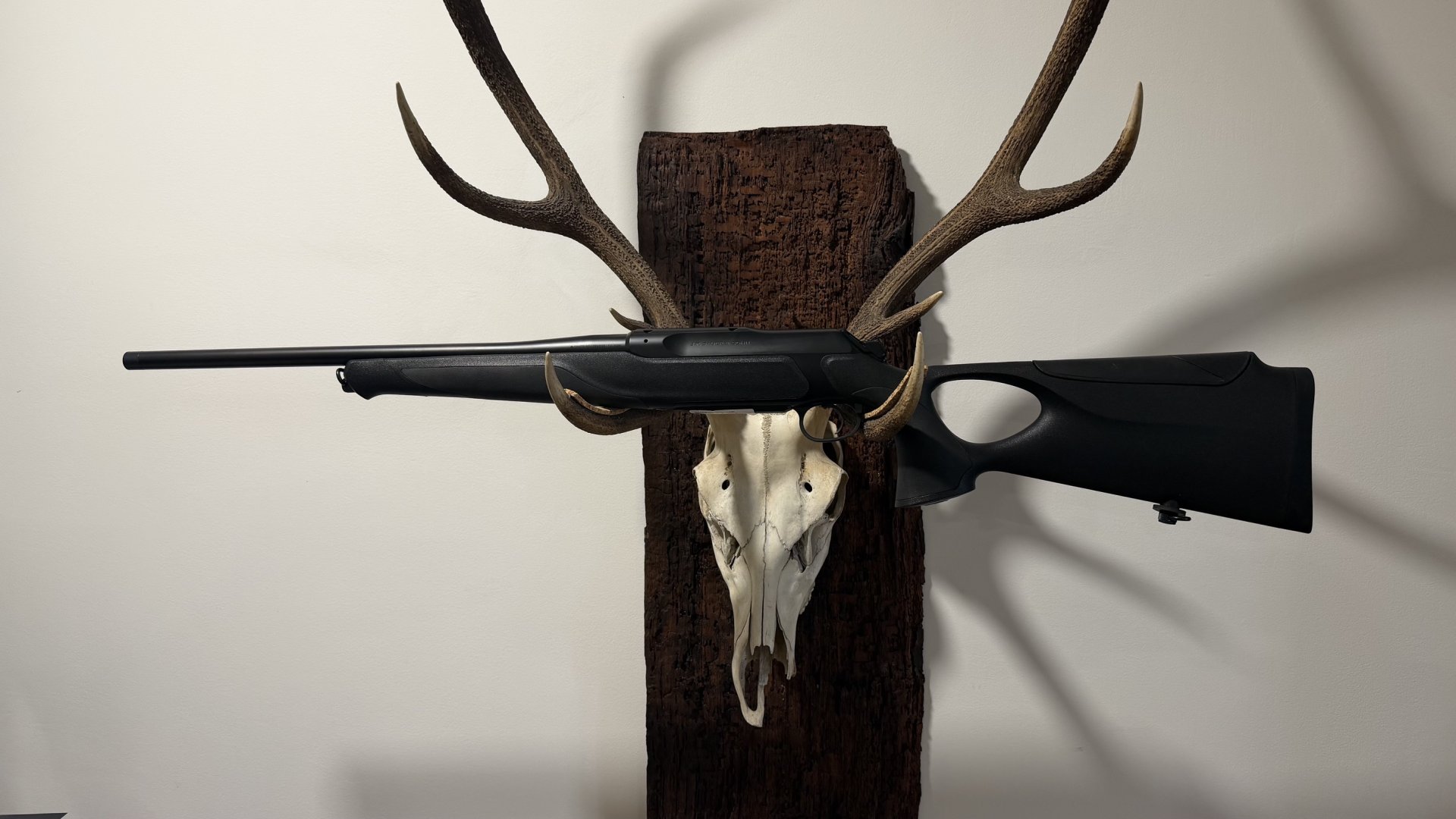 Sauer 505 SyncroXT Outback .308/.30-06/usw. Neu u. sofort lieferbar v. Willenbach Gmbh – Bild 2