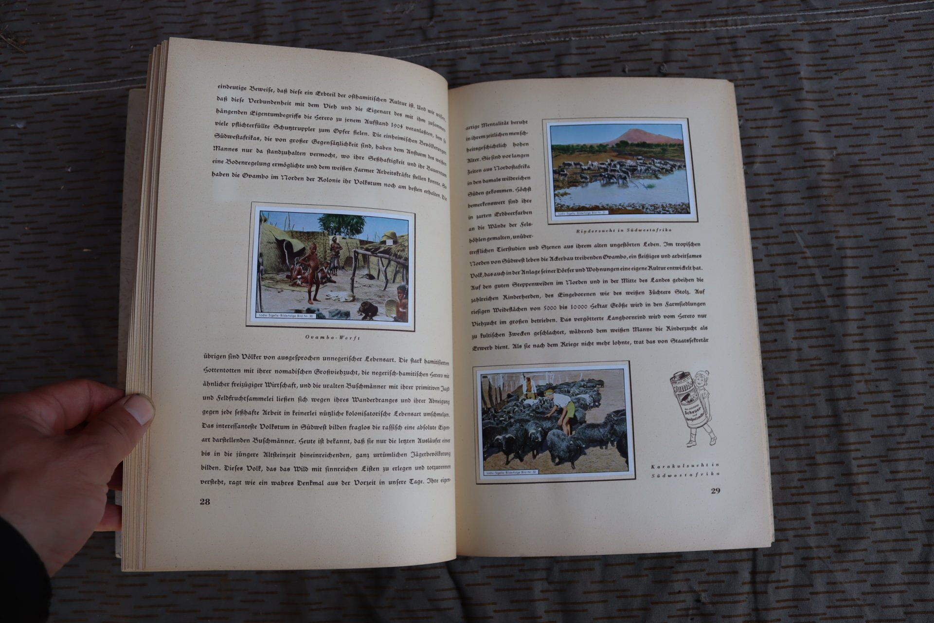 Deutsche Kolonien Zigarettenbilder Album – Bild 4