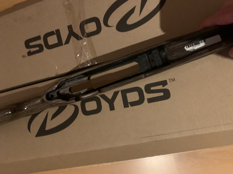 CZ 557 Eclipse Schaft - Boyds; Bettung – Bild 3
