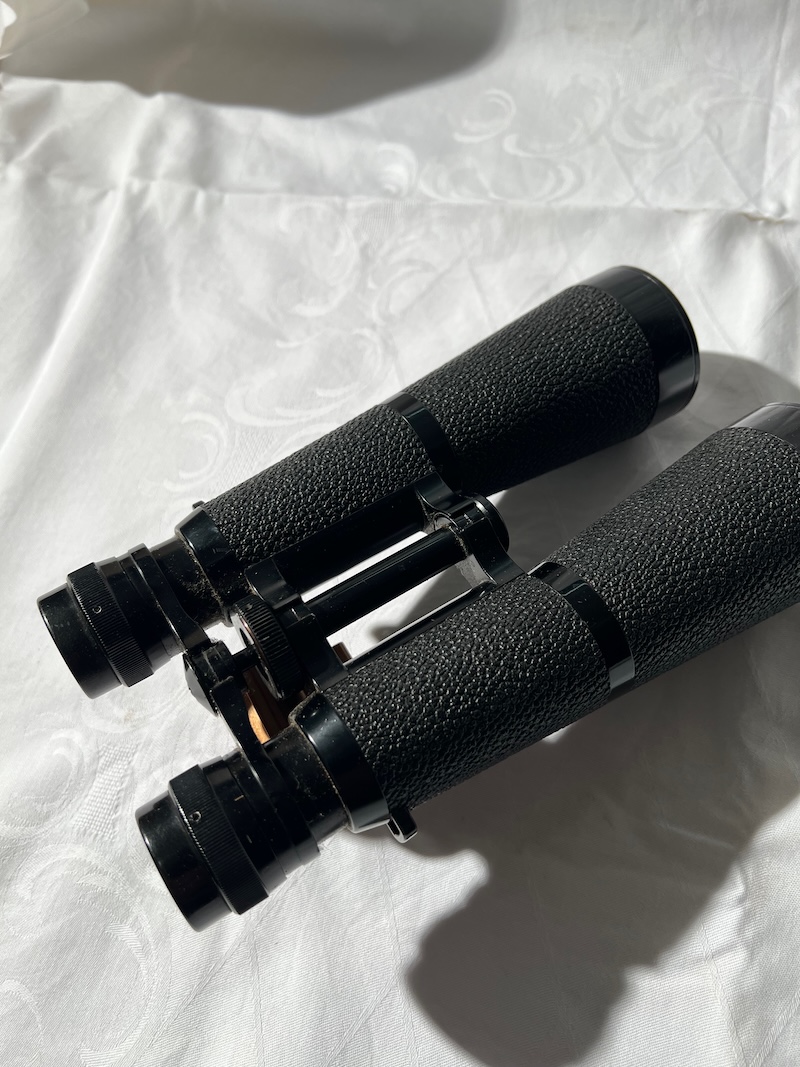 Hensoldt 8x56 – Bild 2