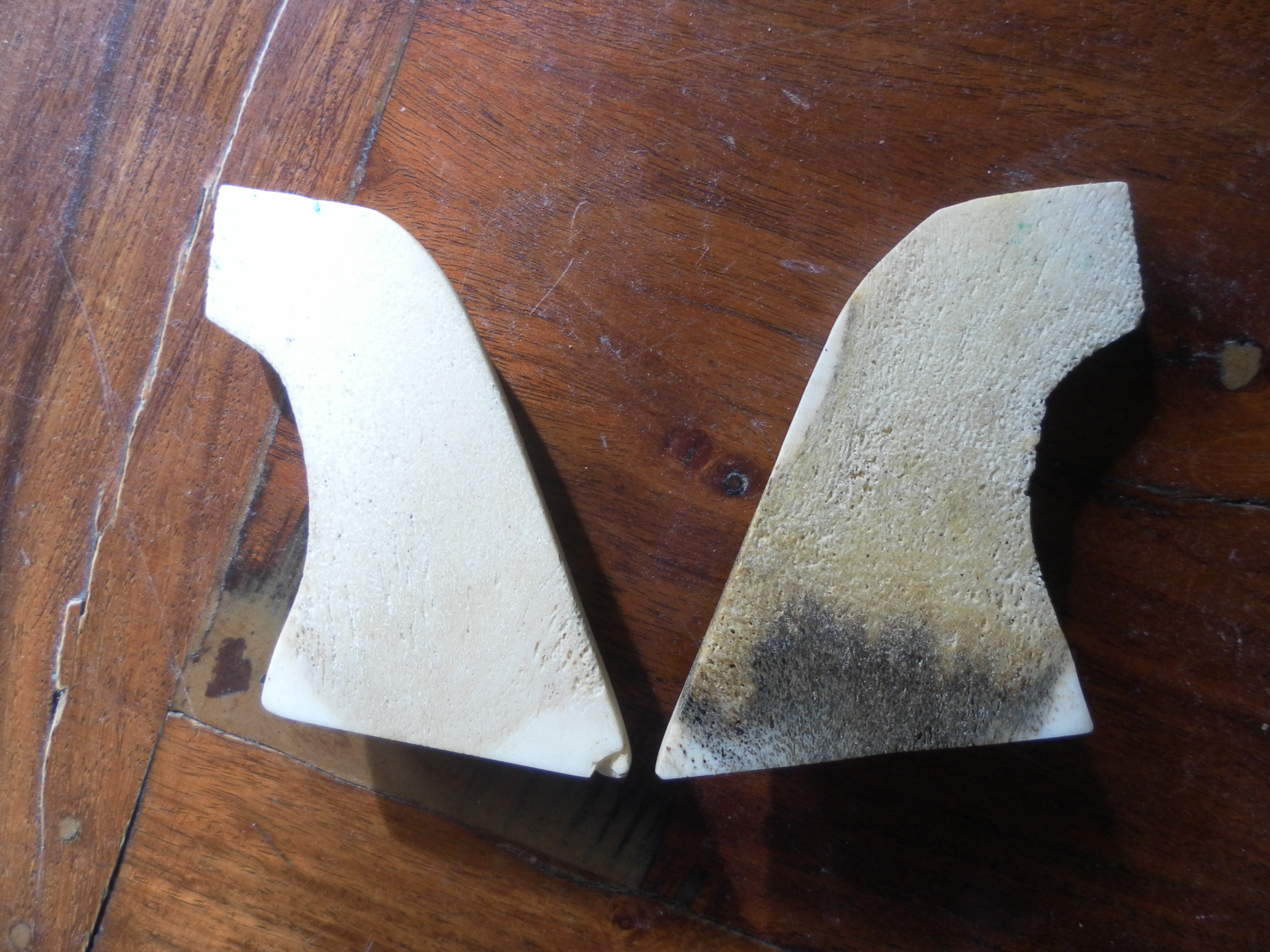 Hirschhorn Griffschalen – Bild 2