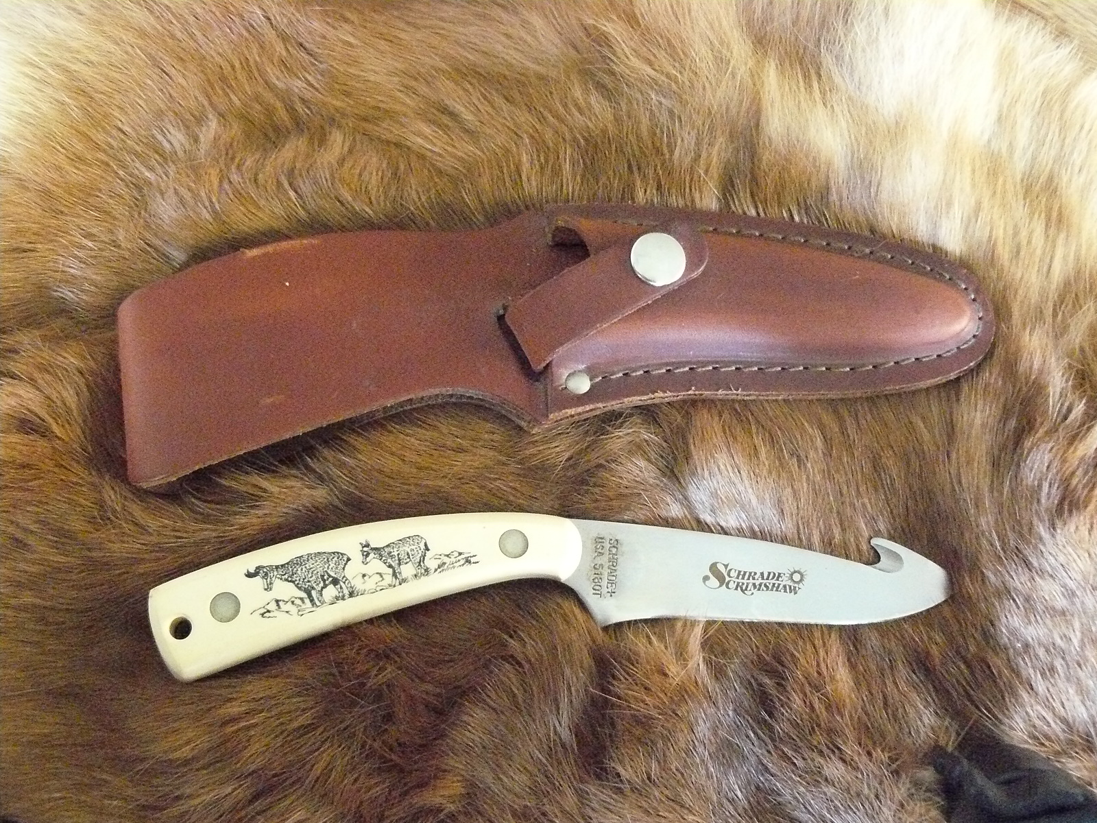 Schrade Scrimshaw Jagdmesser mit gravierten elfenbeinfarbigen Griffschalen – Bild 1