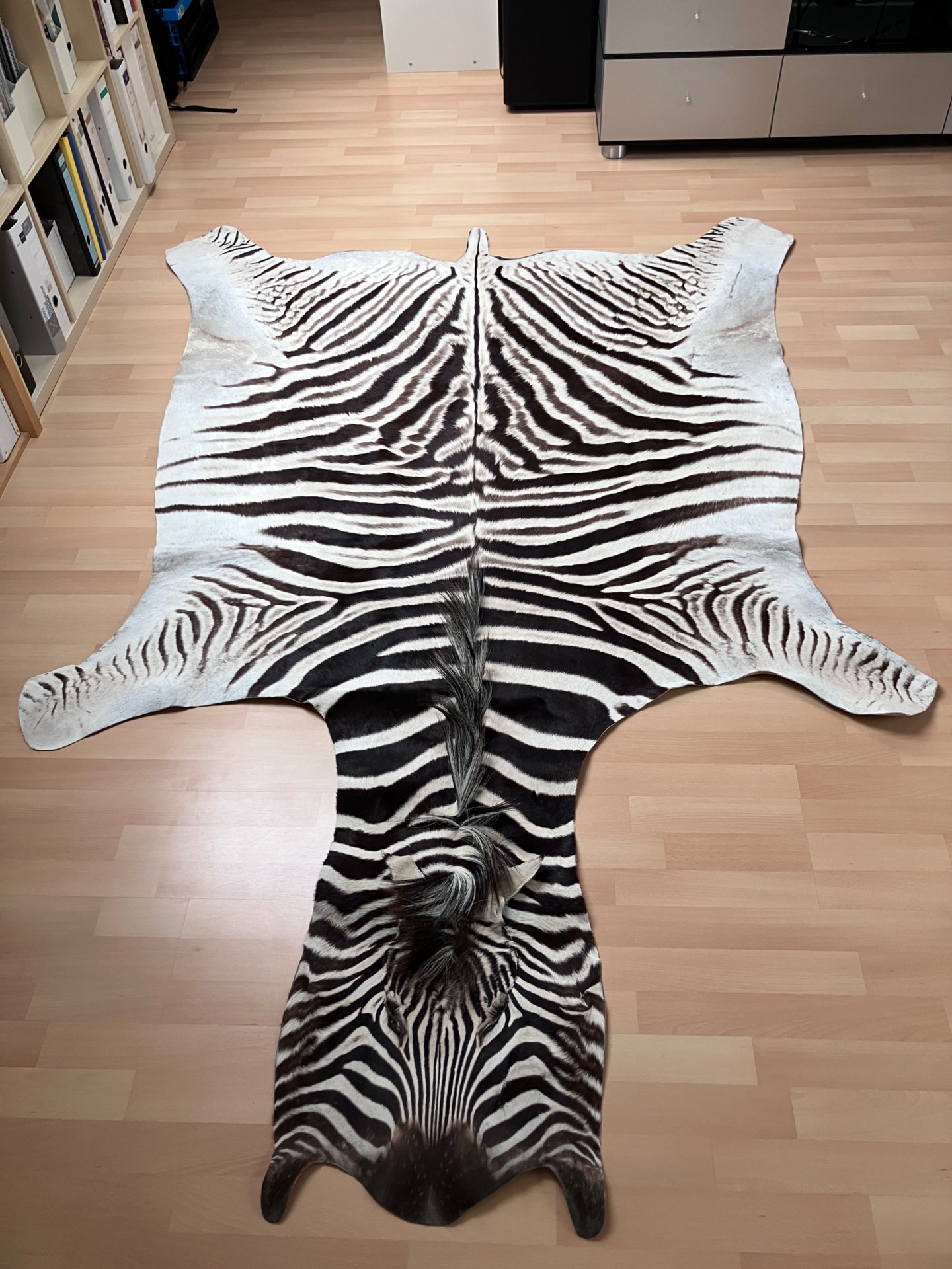 Zebradecke Steppenzebra Namibia 245 x 172 cm – Bild 1