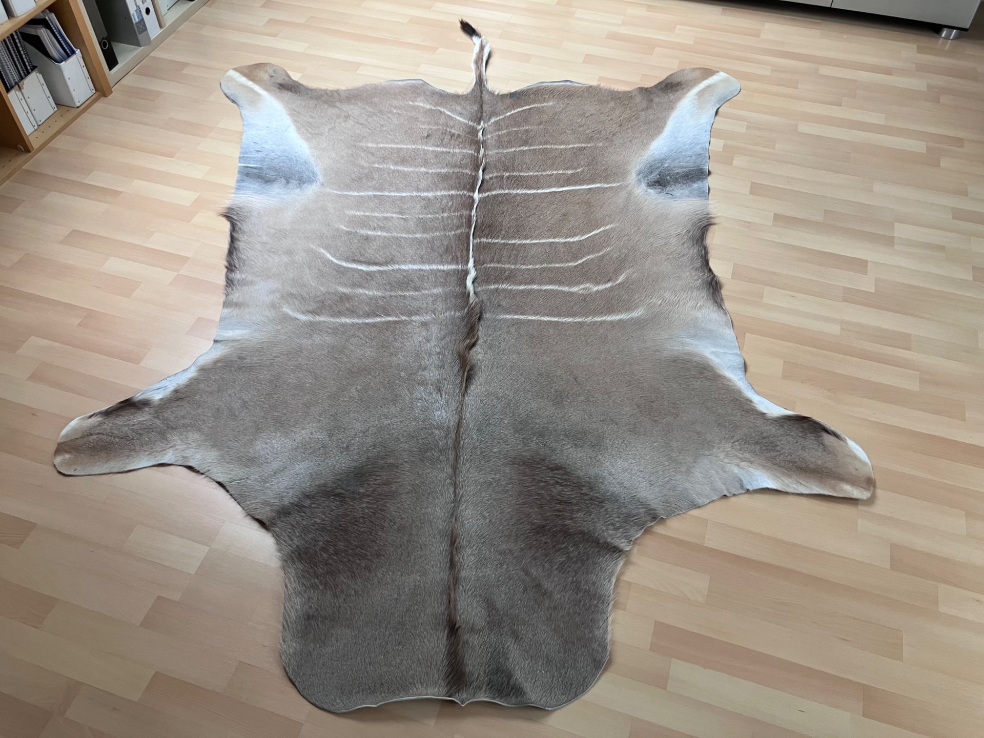 Kududecke Namibia 255 x 185 cm – Bild 2