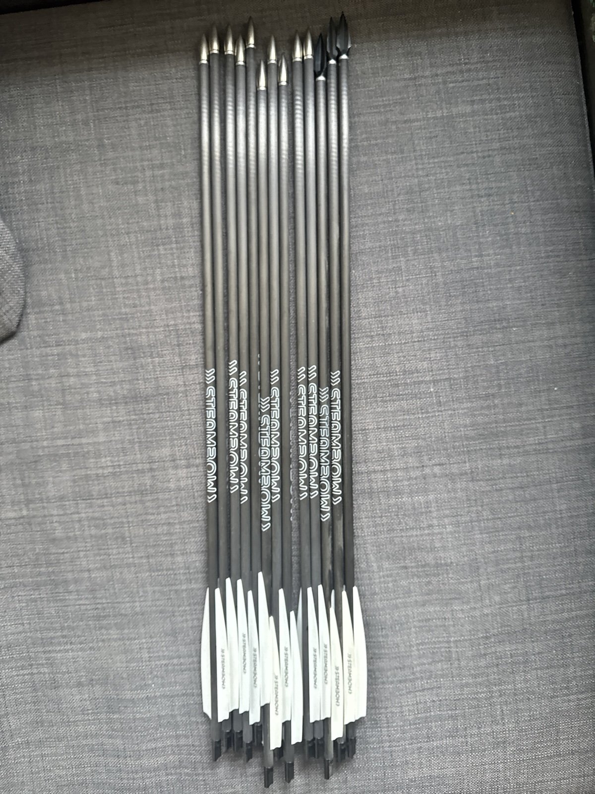 Steambow Fenris mit Compoundbogen – Bild 4