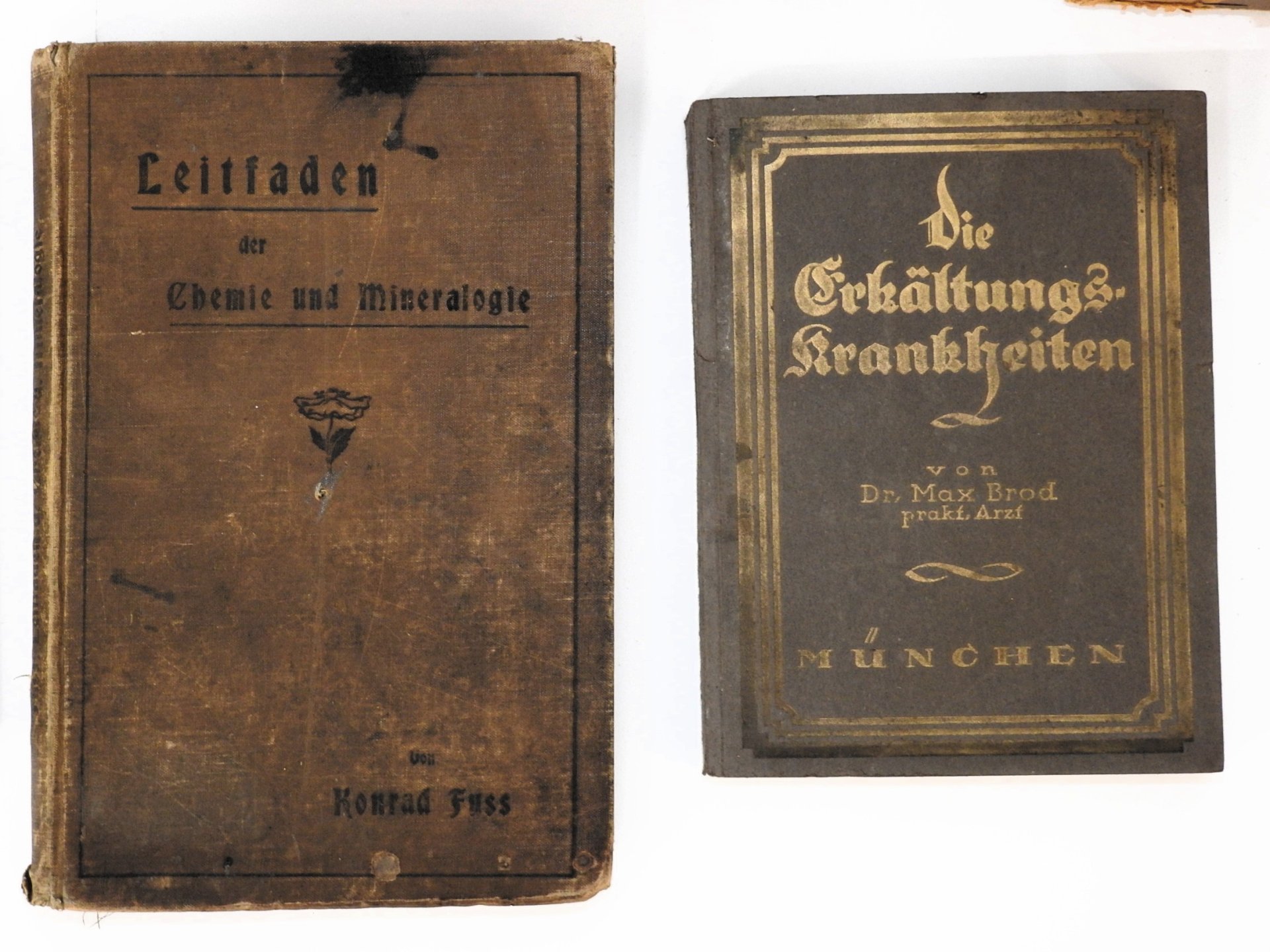 9 alte Bücher 1899–1938: Medizin, Wissenschaft, Kunst, Reisen, Belletristik – Bild 2