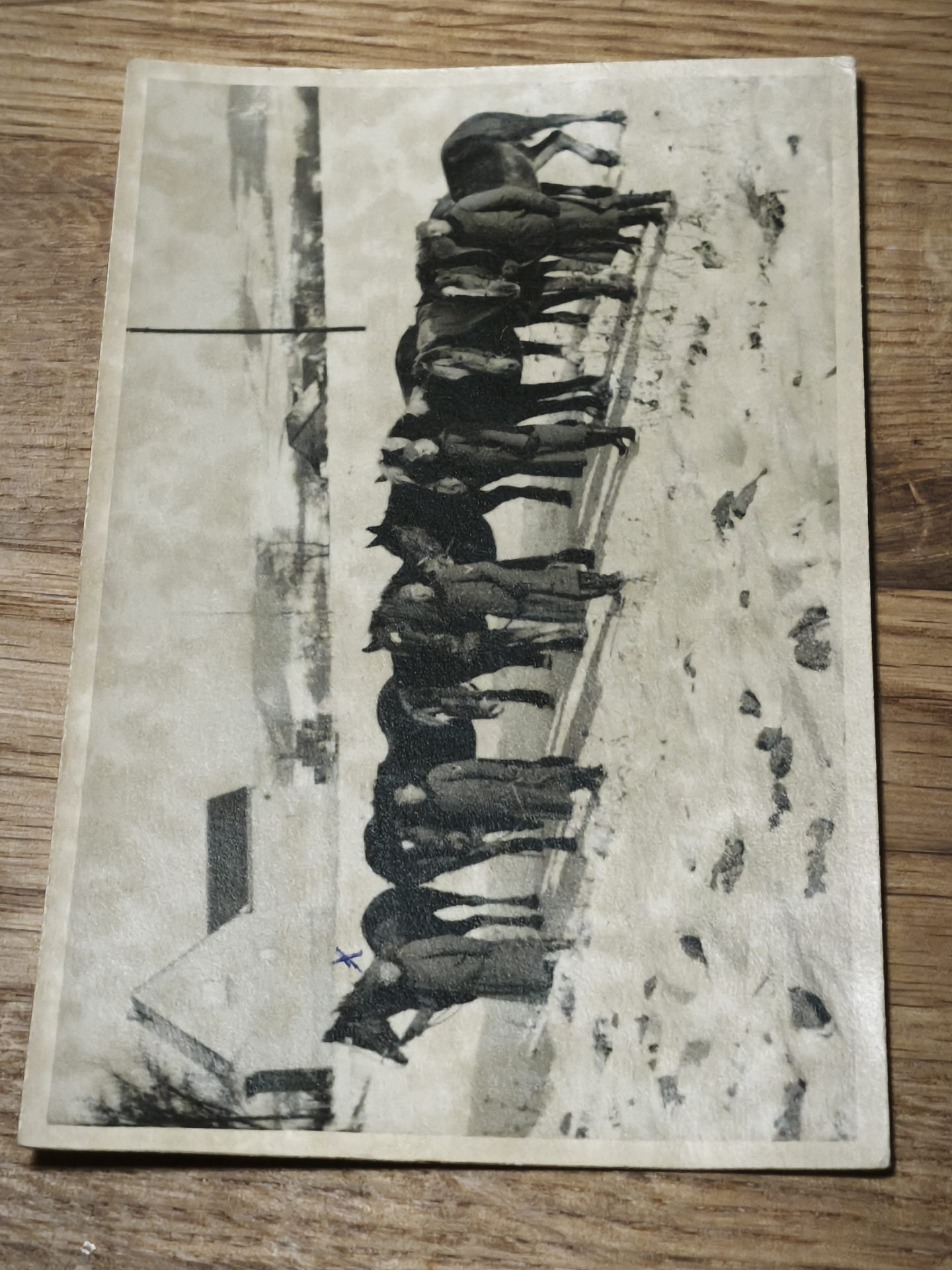 Original Foto 2.WK Soldatengruppe mit Pferd – Bild 1