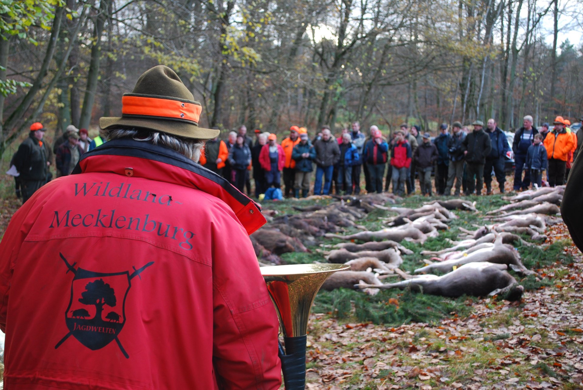 2-Tage-Drückjagd 25.-27.11.2026 Unterkunft Halbpension Abschüsse Mecklenburg – Bild 1