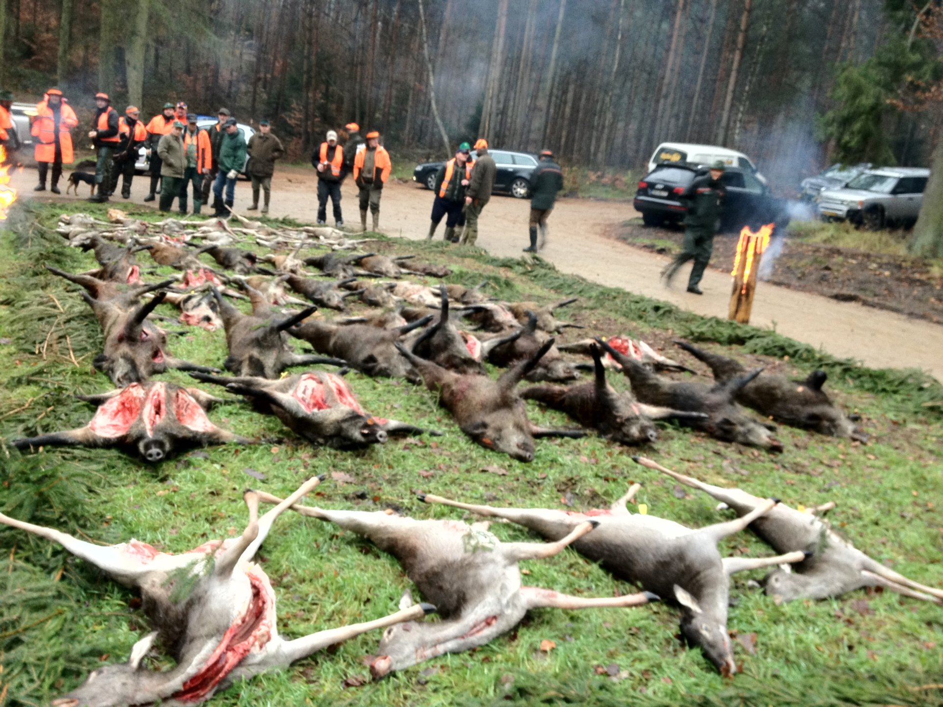 2-Tage-Drückjagd 25.-27.11.2026 Unterkunft Halbpension Abschüsse Mecklenburg – Bild 2