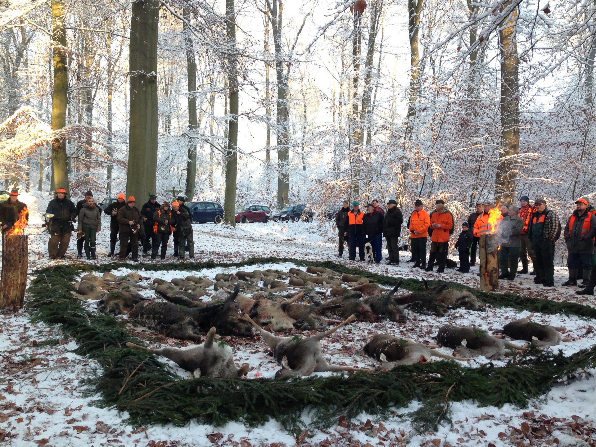 2-Tage-Drückjagd 25.-27.11.2026 Unterkunft Halbpension Abschüsse Mecklenburg – Bild 3