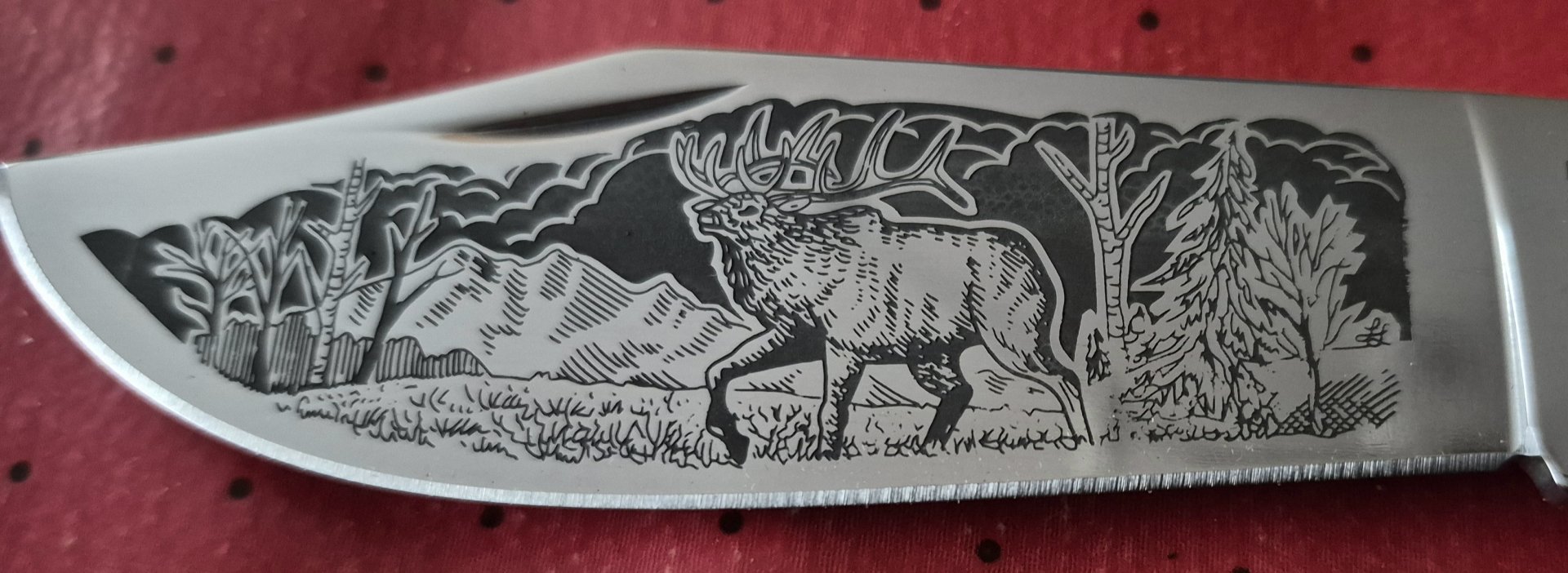 Schrade Klappmesser limitiert Hirsch Jagdmesser Jagd – Bild 1