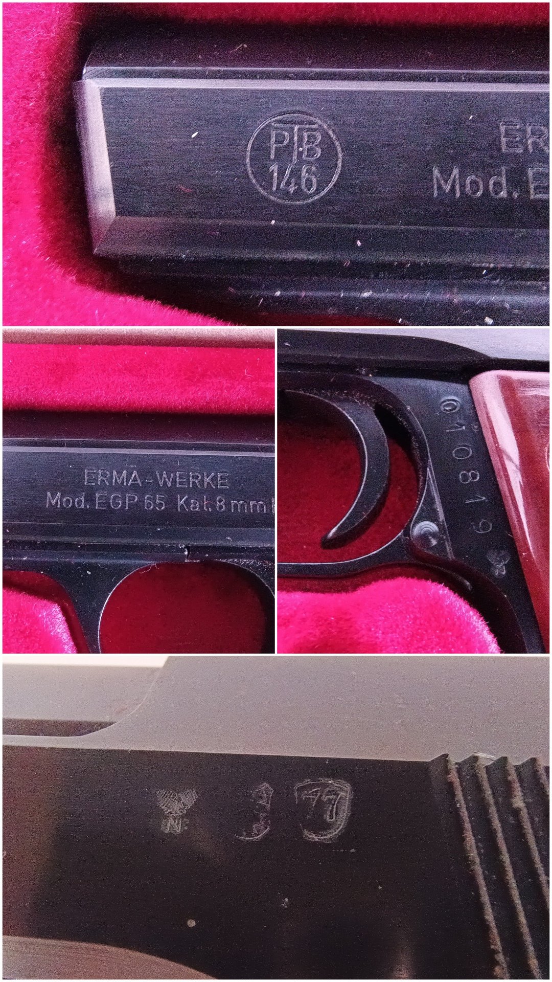 Erma EGP 65 PTB 146 von 1977 – Bild 3