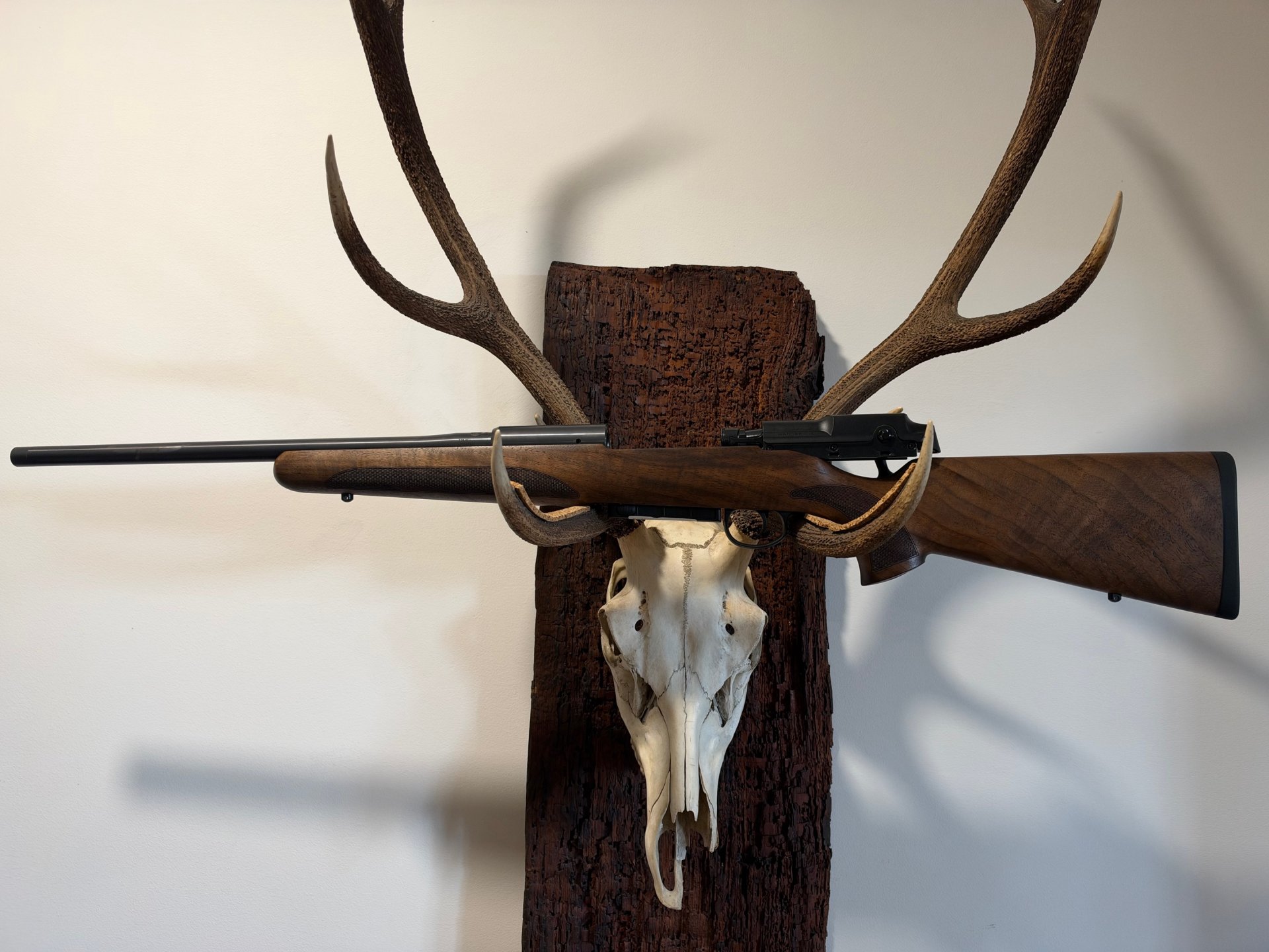 Mauser M25 Pure Kal. 308, Kal. 30-06, 51cm LL, Neu u. sofort lieferbar v. Willenbach GmbH – Bild 2
