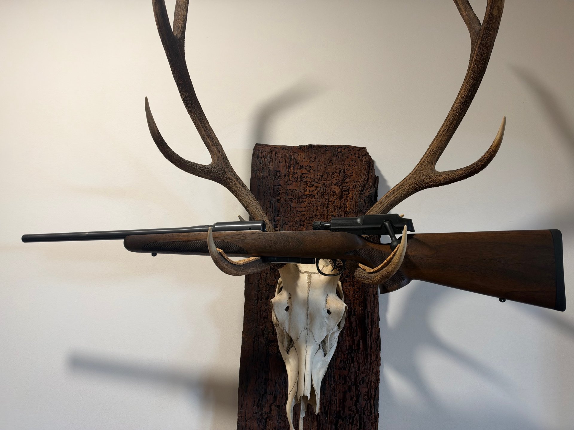 Mauser M25 Pure links, Kal.308, 51cm LL, Neu u.sofort lieferbar v. Willenbach GmbH – Bild 3