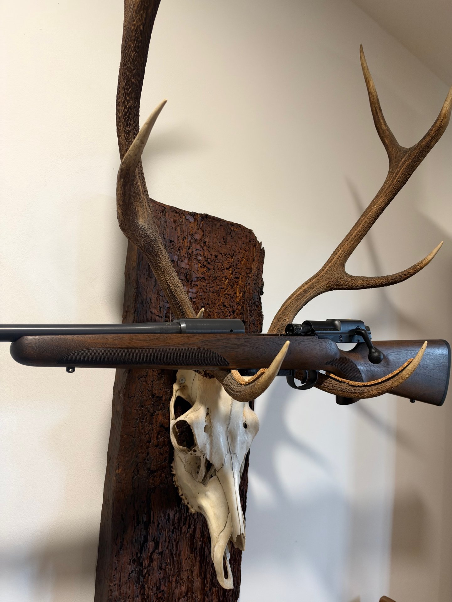 Mauser M25 Pure links, Kal.308, 51cm LL, Neu u.sofort lieferbar v. Willenbach GmbH – Bild 4