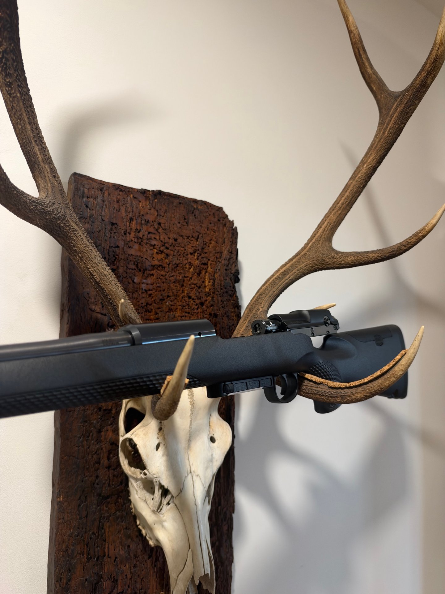 Mauser M25 Extreme Kal.308, Kal. 30-06, 51cm LL, Neu u.sofort lieferbar v. Willenbach GmbH – Bild 5