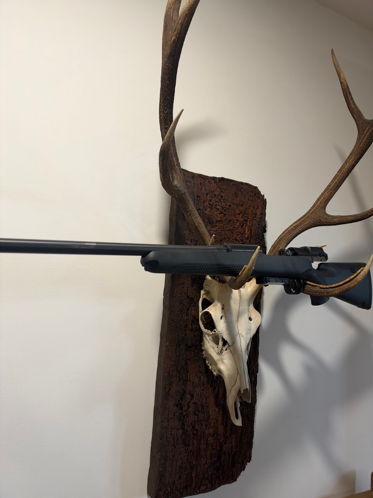 Mauser M25 Extreme Kal.308, Kal. 30-06, 51cm LL, Neu u.sofort lieferbar v. Willenbach GmbH – Bild 6