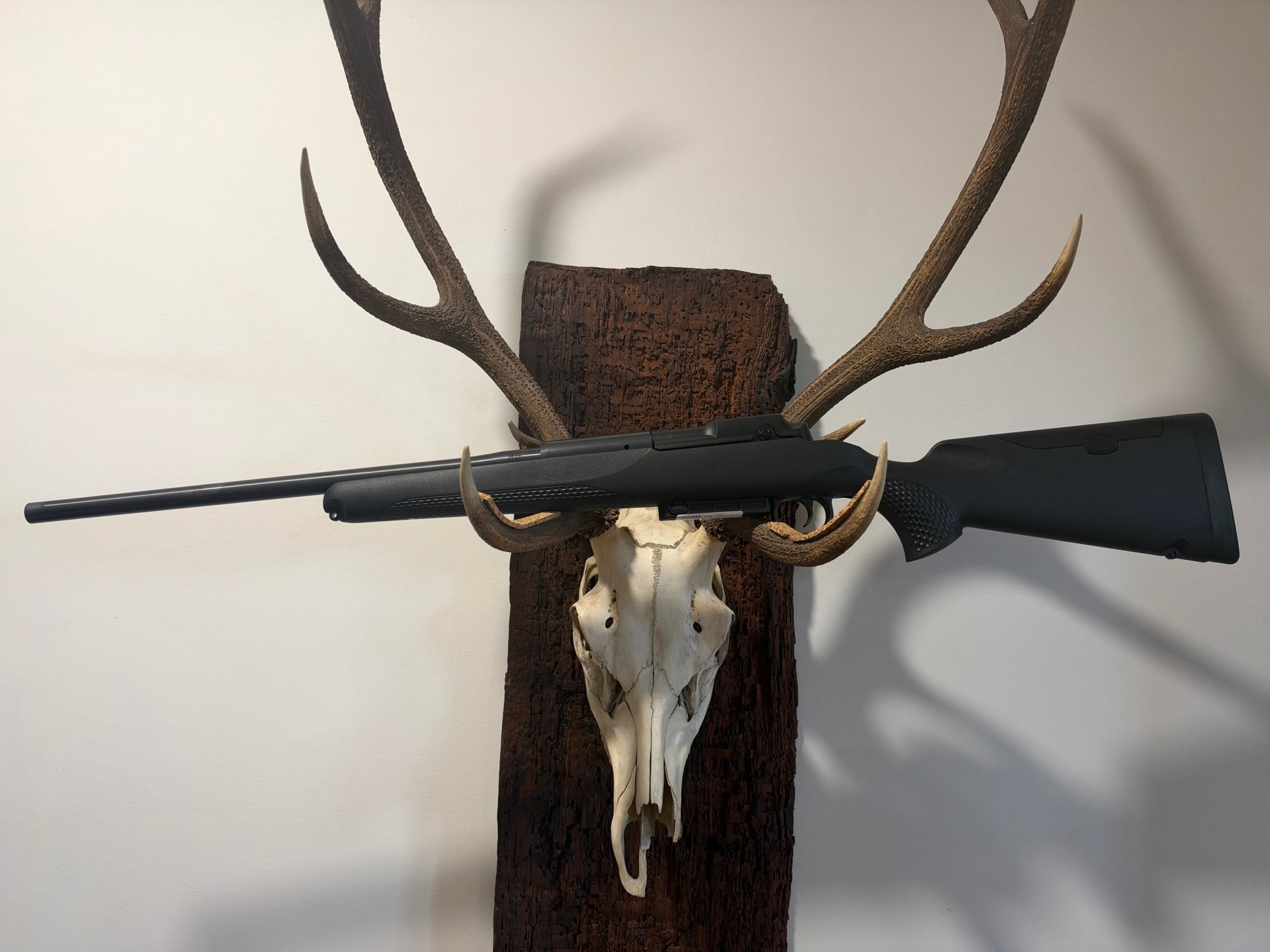 Mauser M25 Extreme Kal.308, Kal. 30-06, 51cm LL, Neu u.sofort lieferbar v. Willenbach GmbH – Bild 3