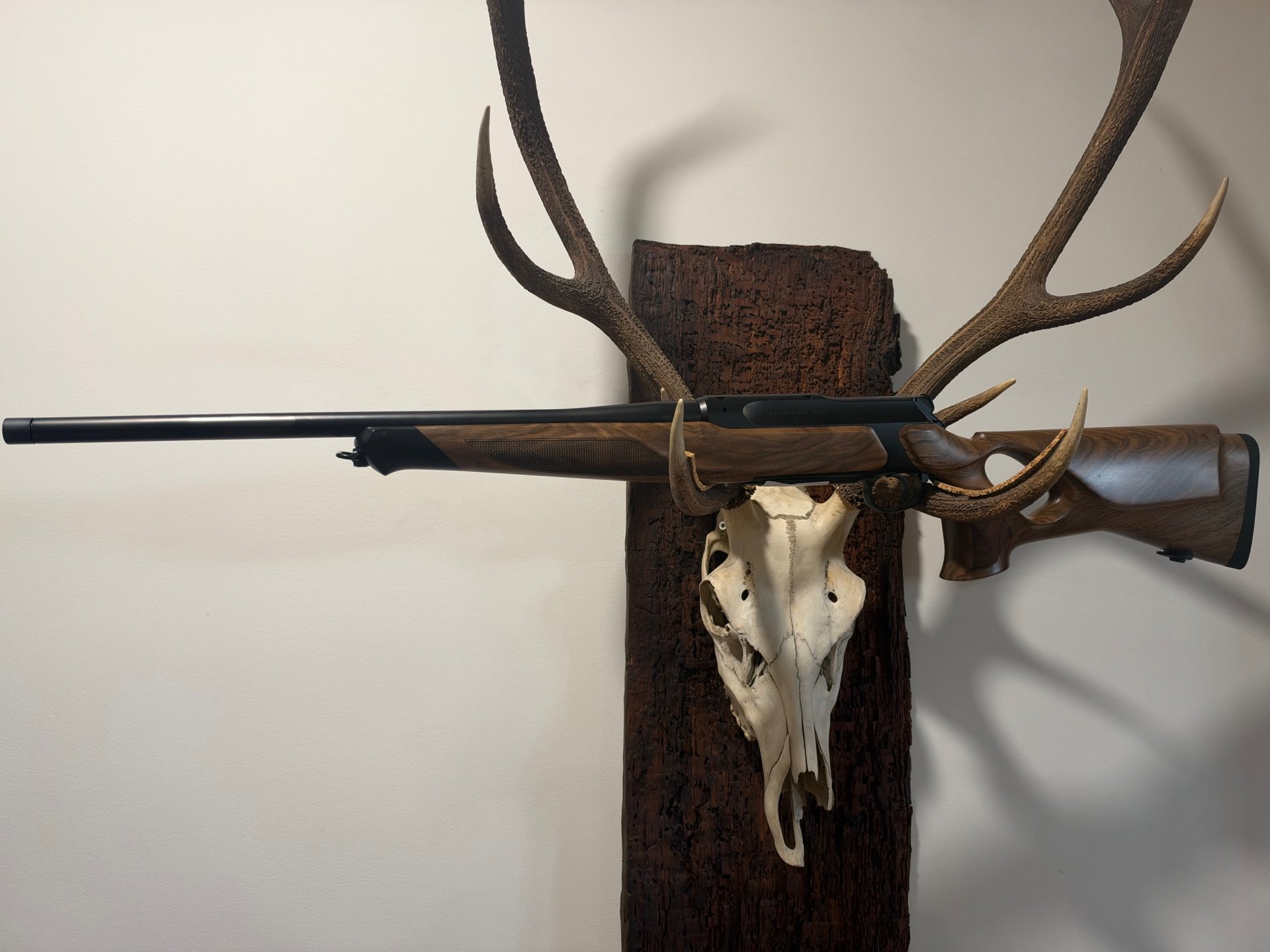 Sauer 505 Iconic Elegance, Kal. 8,5x55 , 51cm LL, Neu u. sofort lieferbar v. Willenbach GmbH – Bild 5