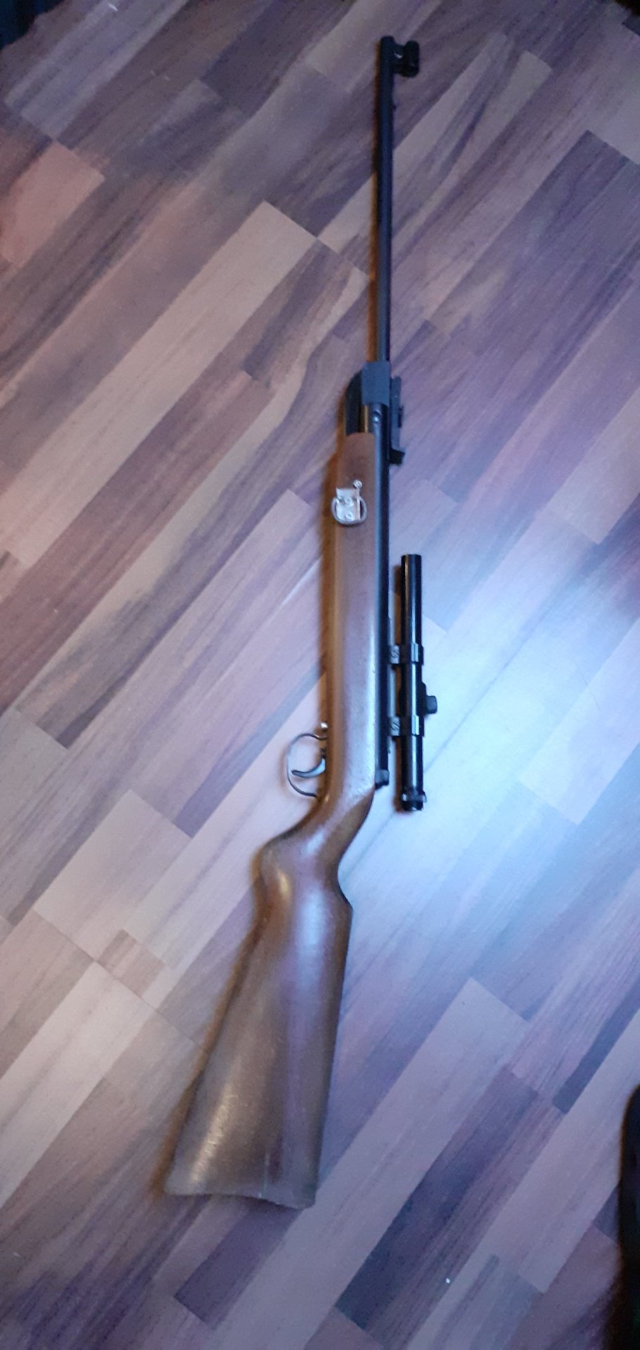Luftgewehr Diana mit Zielfernrohr – Bild 2
