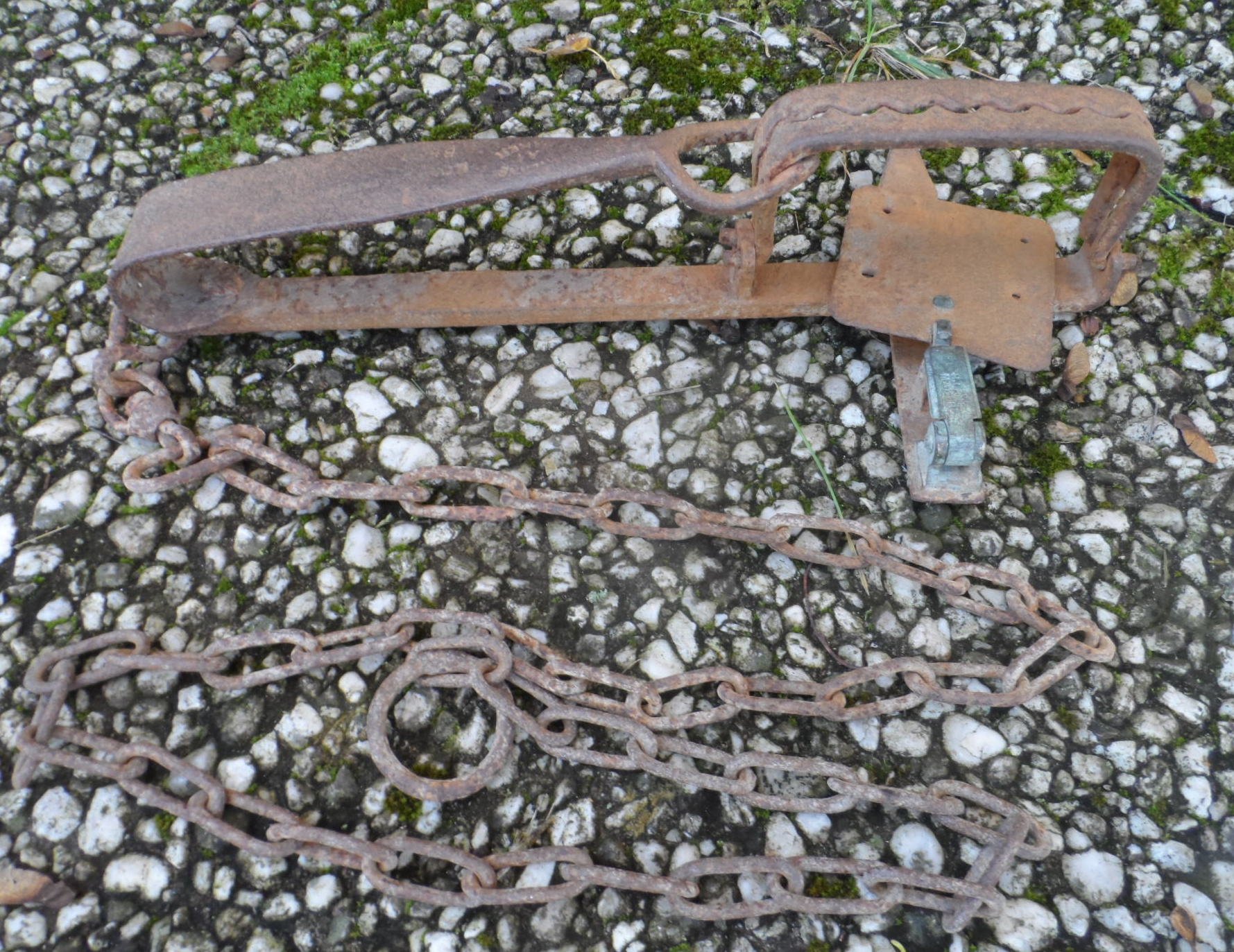 Museale Falle Abzugeisen – Bild 1