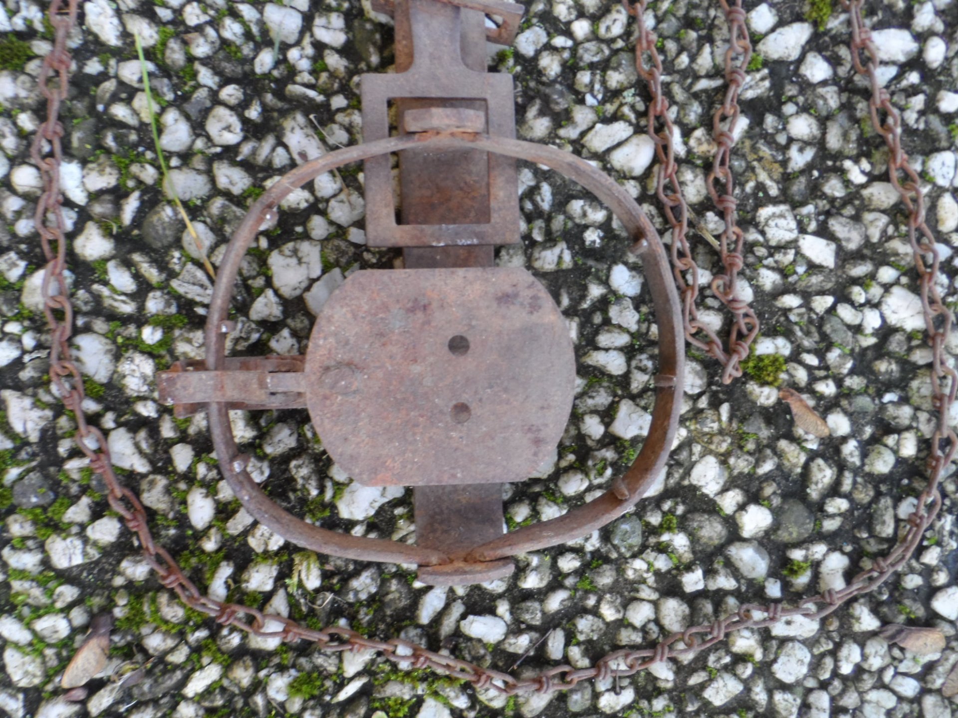 Museale Falle Abzugeisen Nr. 2 – Bild 3