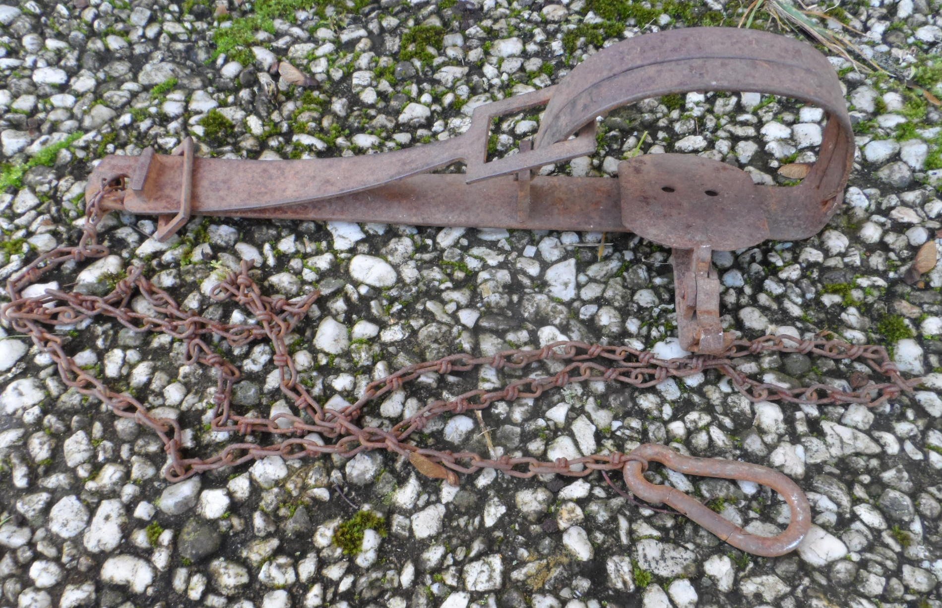 Museale Falle Abzugeisen Nr. 2 – Bild 1