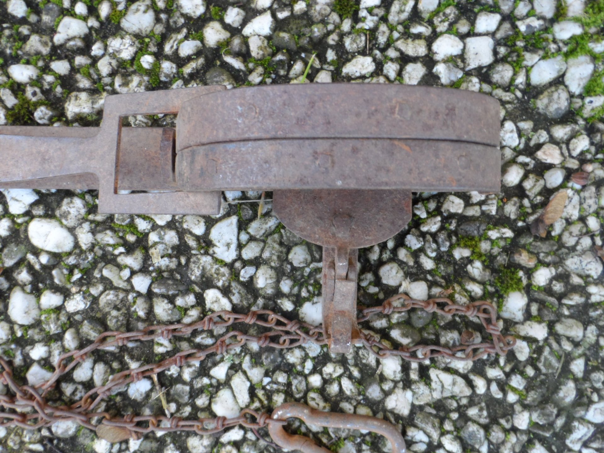 Museale Falle Abzugeisen Nr. 2 – Bild 2