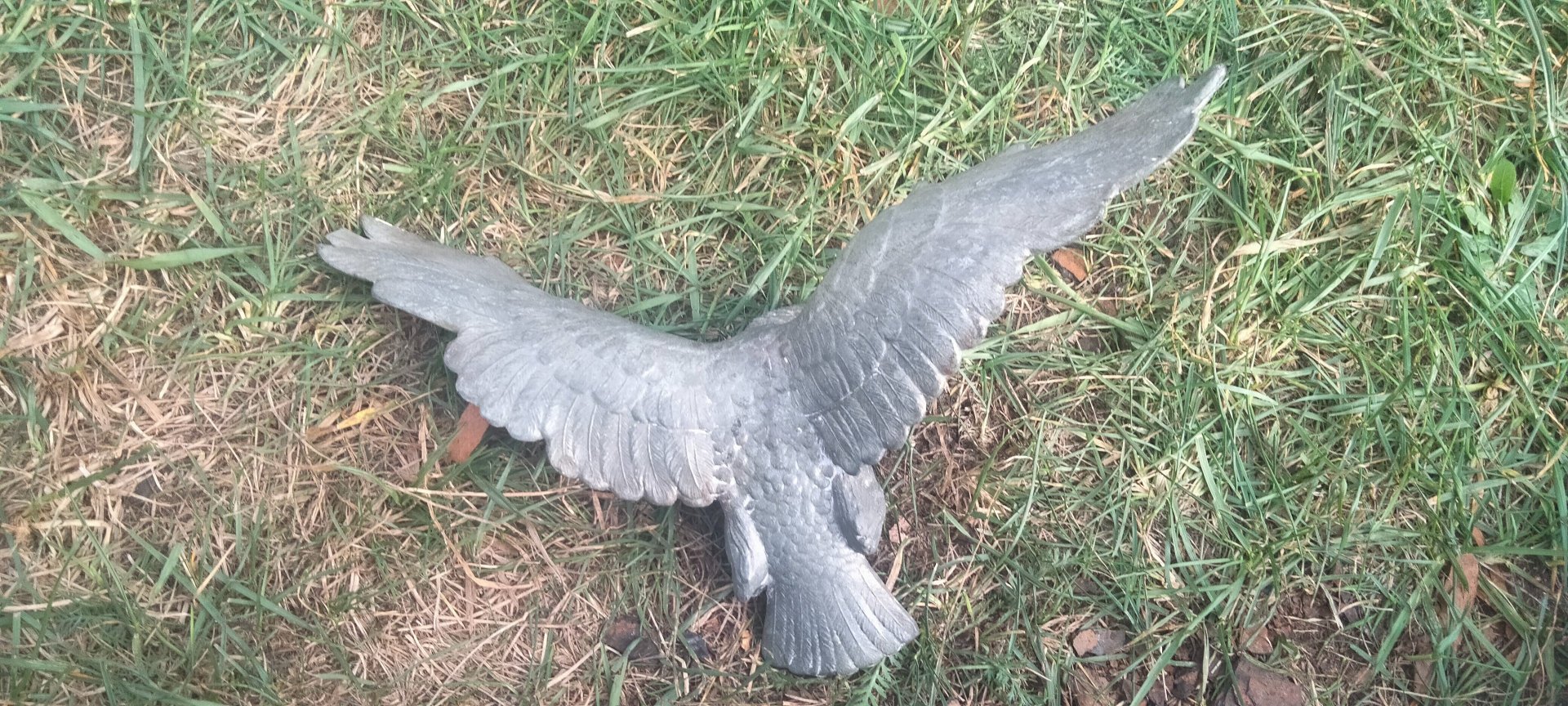 Tischadler Wehrmacht deutsches Reich Adler Dachbodenfund – Bild 2