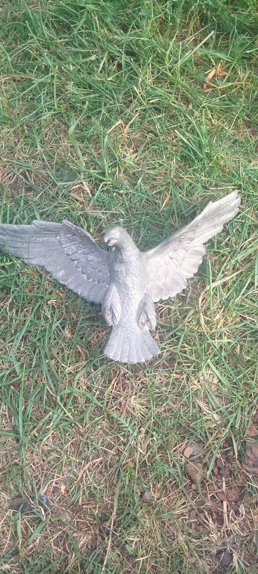 Tischadler Wehrmacht deutsches Reich Adler Dachbodenfund – Bild 3