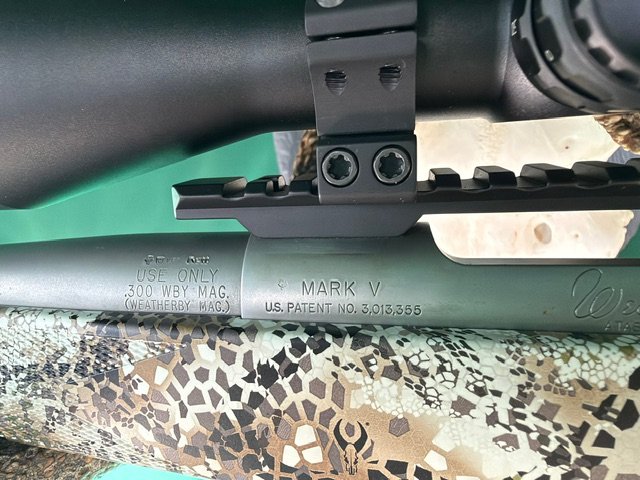 Weatherby Mark V – .300 Weatherby Magnum - WBY - Stainless – Bild 8
