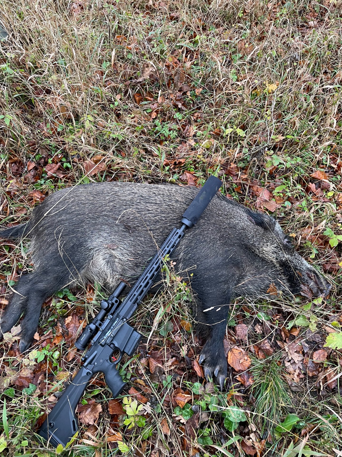 DPMS AR-10 G II HUNTER – Bild 3