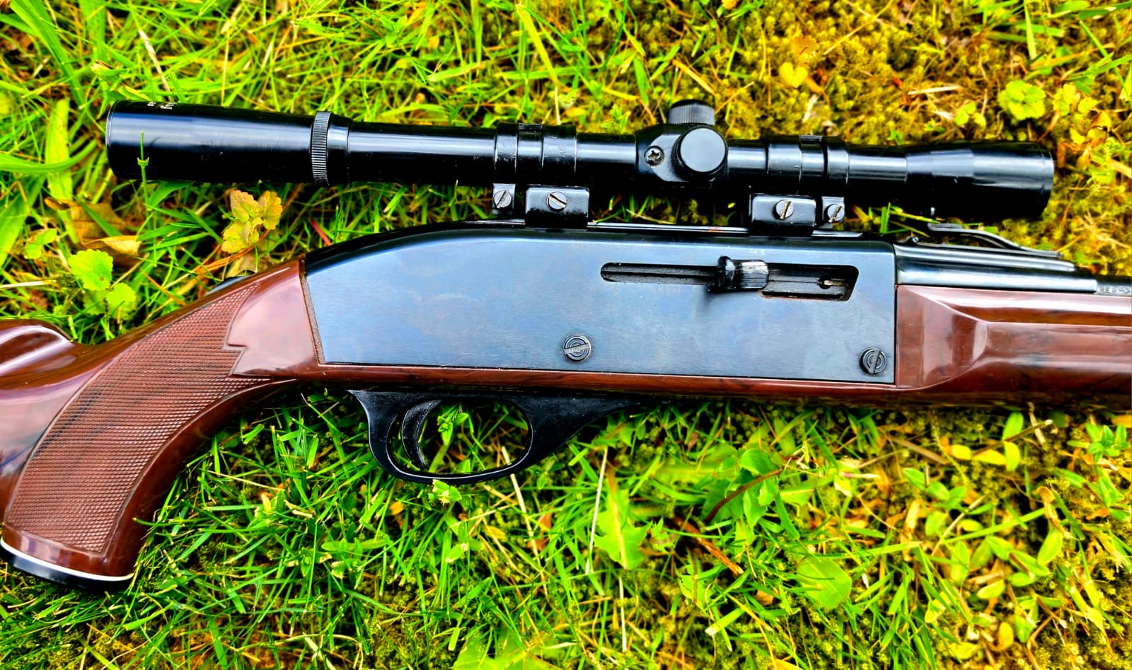 Remington „ Nylon „ im Kal. .22 lfB. – Bild 1