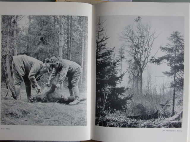 1941 BÜCHSE UND KAMERA JAGTEN IN DEUTSCHEN REVIEREN – Bild 4
