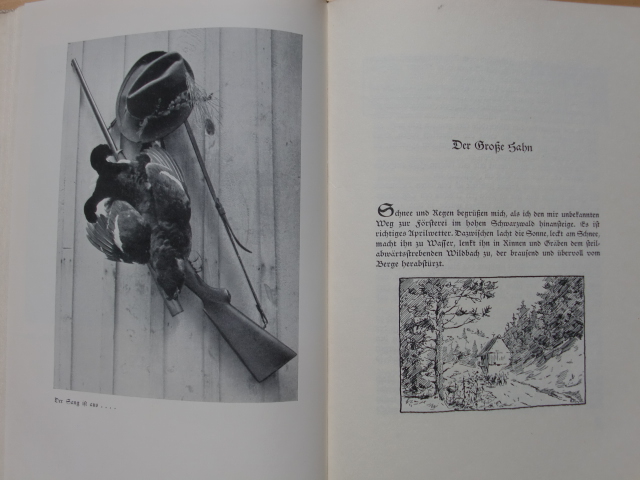 1941 BÜCHSE UND KAMERA JAGTEN IN DEUTSCHEN REVIEREN – Bild 2