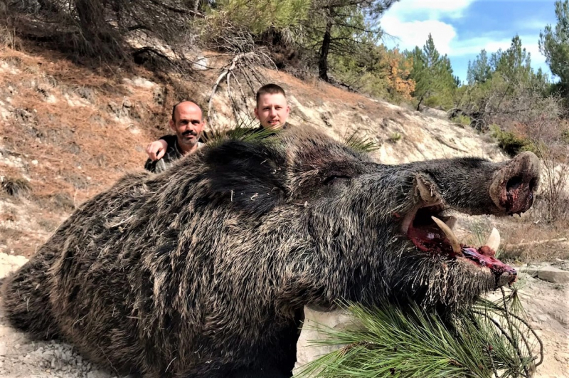 JAGD AUF KAPITALE KEILER TÜRKEI 2026 – Bild 3