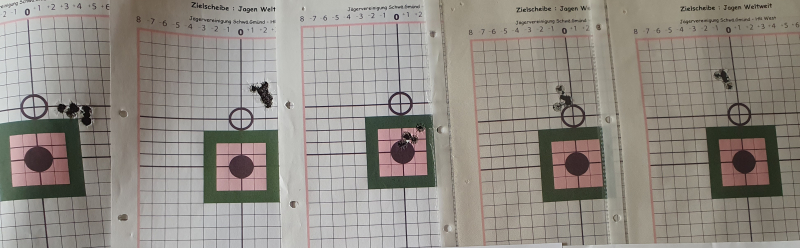Seltene Mauser 66 S Magnum .300 Win. Mag, Custom Bixn Andy Atzl – billede 6