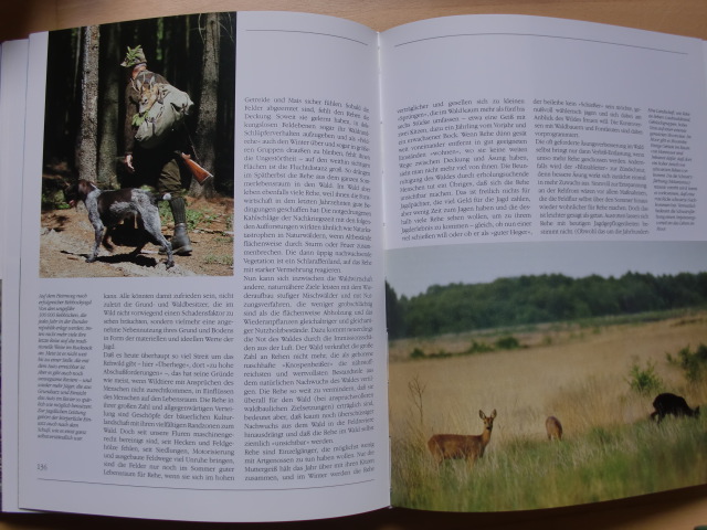 DAS JAHR DER WILDBAHN - Wild und Jagd in heimischen Revieren – Bild 3