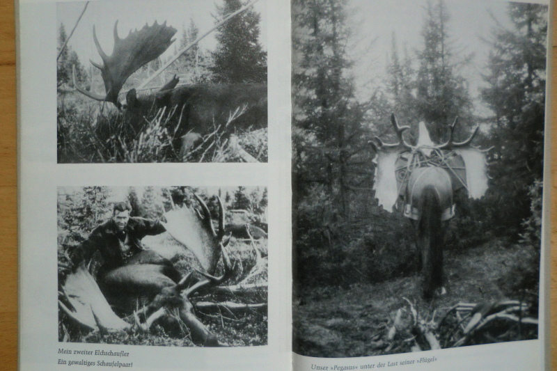 ALASKA - Abenteuerliche Jagdreise durchs weite Land – Bild 2
