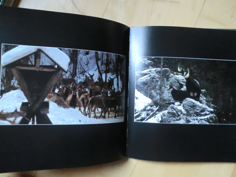 DIE JAGD - EIN LITERARISCHES BILDERBUCH – Bild 3